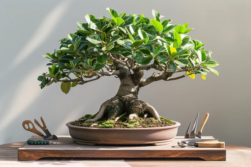 como podar ficus bonsai